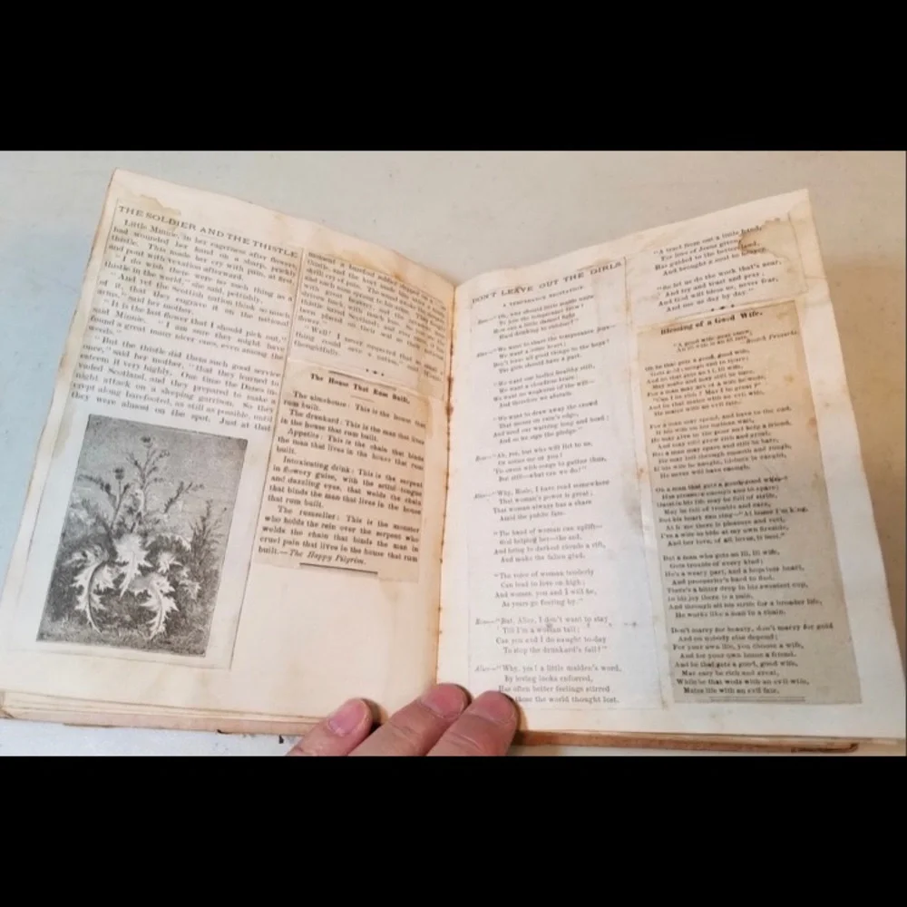 Antique 1880 The Sunday Scrap Album - Picture 11 of 16